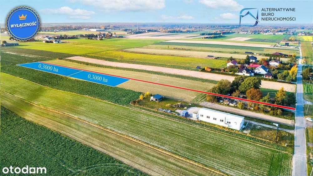 Działka rolna w Rudce Kozłowieckiej - View 3