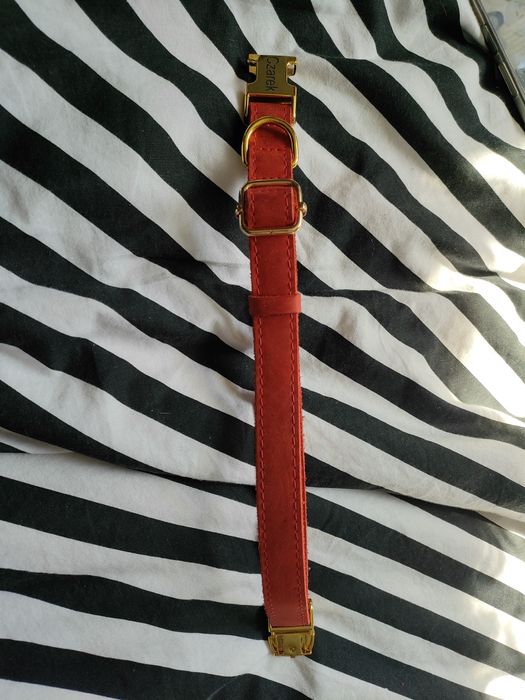 Obroża dla psa skórzana