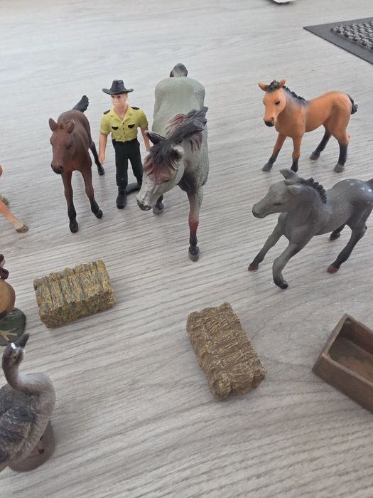 Animais selvagens e animais da quinta