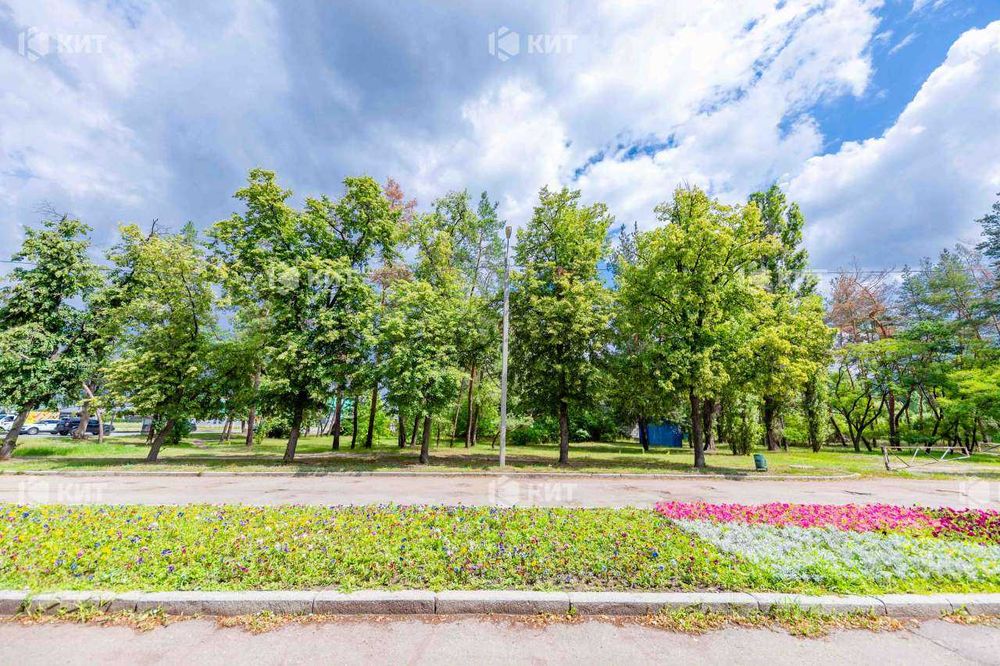 24 сот. , Київська (Гидропарк, м. Киевская, ул. Шевченко, 125274