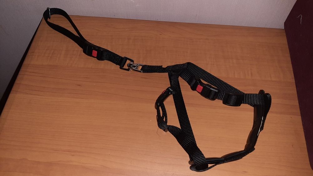 Авто шлейка Karlie.