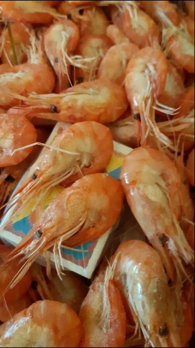 Крабы, раки, креветка, морепродукты. Живые, вареные.