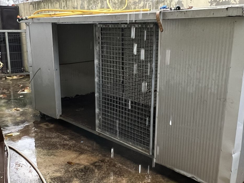 Casota/ Abrigo para animais