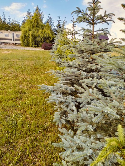 Domek nad jeziorem brodnickie pojezierze