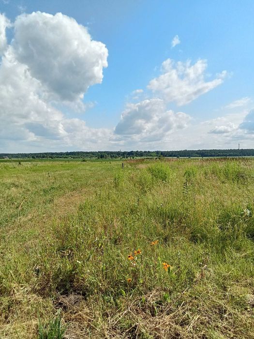 Будинок в с.Забуяння. Село, оточене лісом з чарівними краєвидами