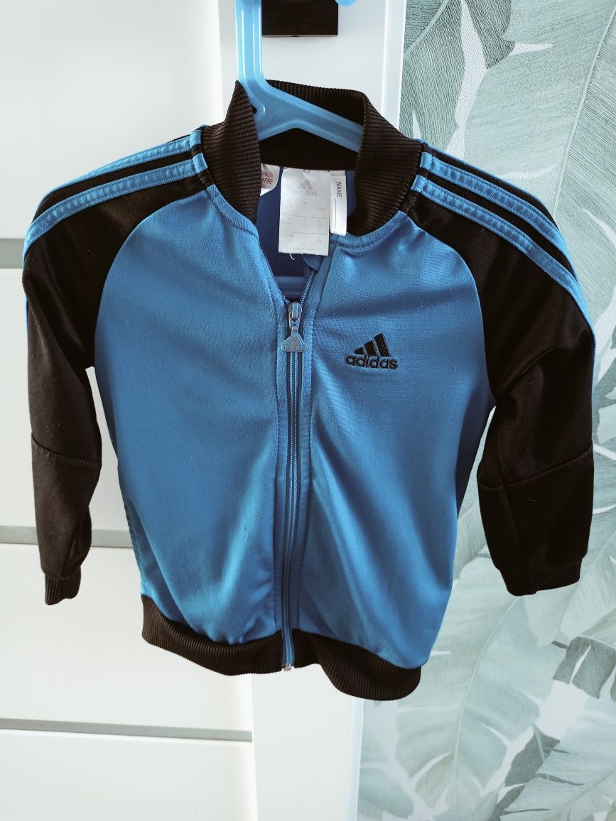Bluza adidas 98 olx sale