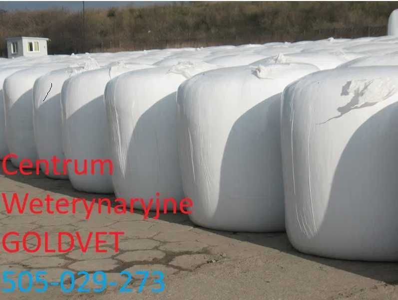 wyslodki buraczane w belach