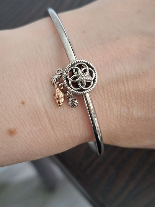 Pandora Moments Bangle z charmsem łapacz snów