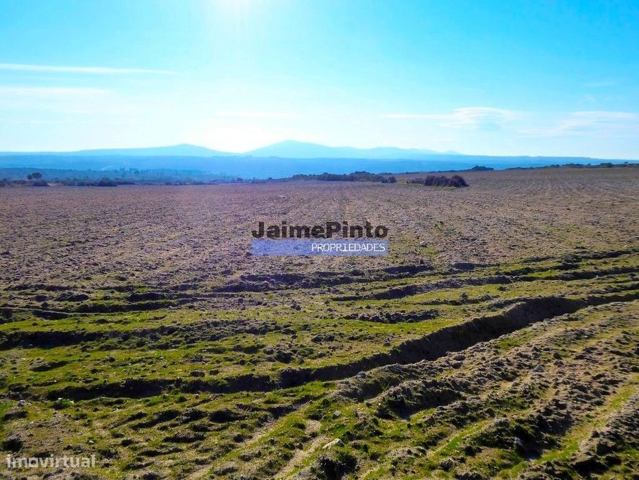 10,9ha de terra plana para plantações. Portugal, F. C. Rodrigo, Bar...