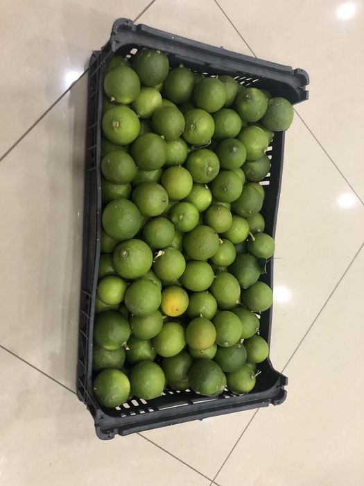 Limas Citrinos…
