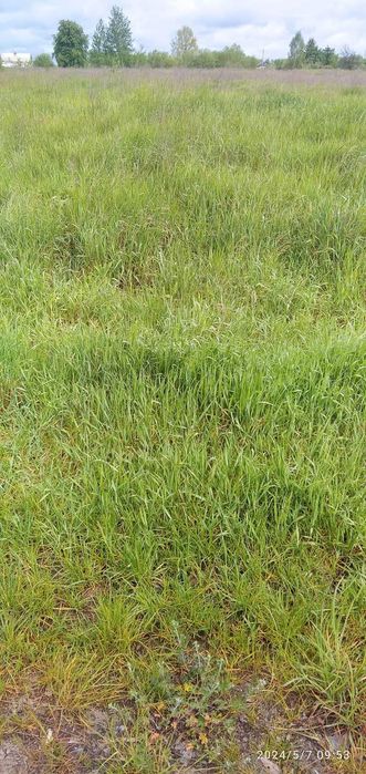 Продам земельну ділянку