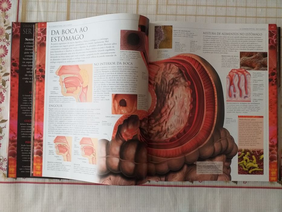 Grande enciclopédia Animal/ Grande Enciclopédia Ser Humano