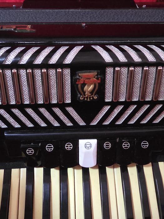 Acordeon Parrot - em bom estado