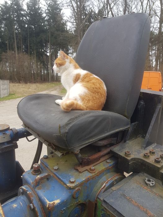 Wirtgen 500 0/4 1992 r. frezarka do asfaltu