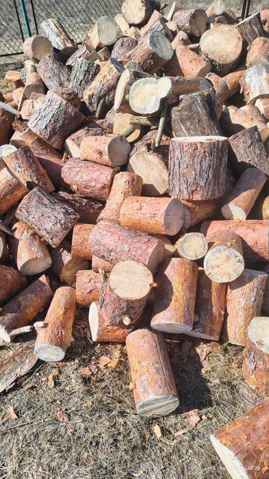 Дрова сосна пиляні та колоті 1800грн