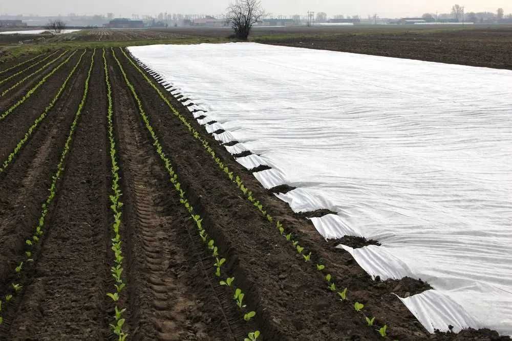 Agrowłóknina P30 12.65x100m  Producent NaturSorte