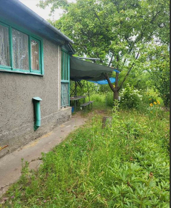 Будинок з комунікаціями, велика ділянка 10сот. Торг! 39706