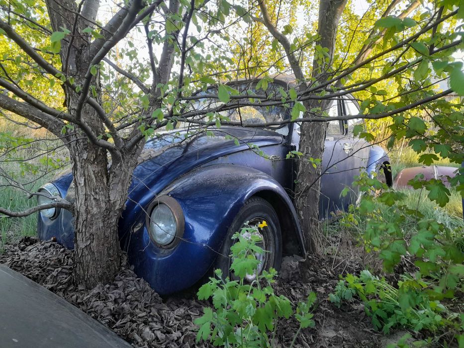 vw garbus  szyba  boczna   przód inne reklama