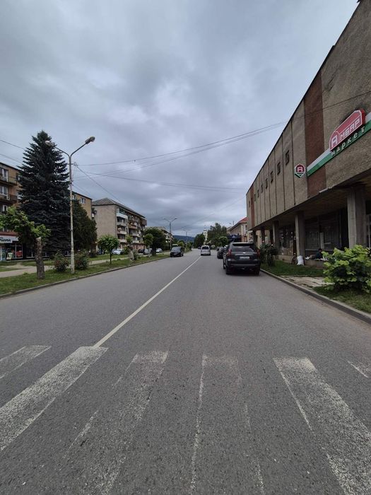 Продається будинок з чудовим краєвидом  у селі  Березний