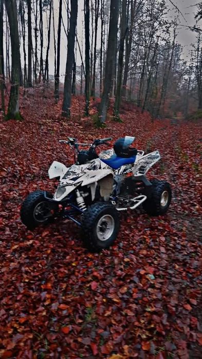 Suzuki ltr 450 brak homolagcji