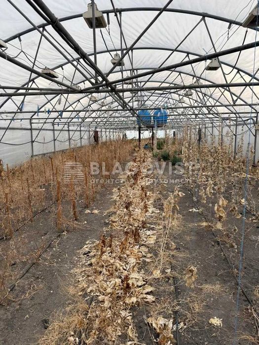 Вигідно! продаж земельної ділянки промислового комплексу.с.Мірча Бородянка. - View 3