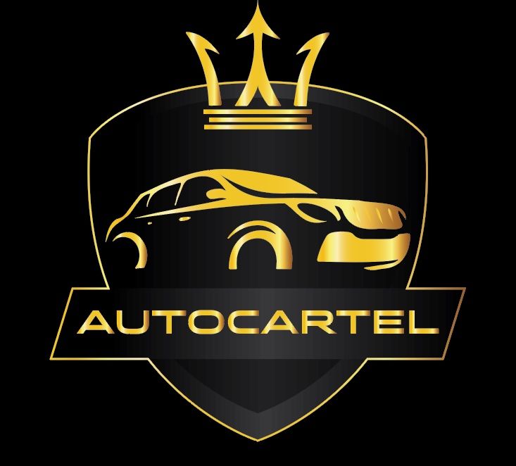 Пригін-доставка авто із США Кореї Європи та Китаю-Електро-авто