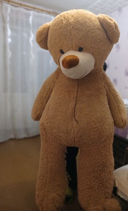 СРОЧНО продам ведмедя