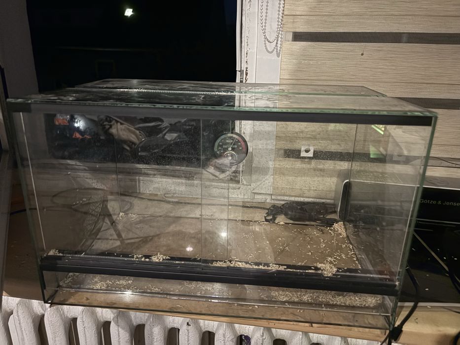 Terarium dla gekona bądz mniejszej zborzówki