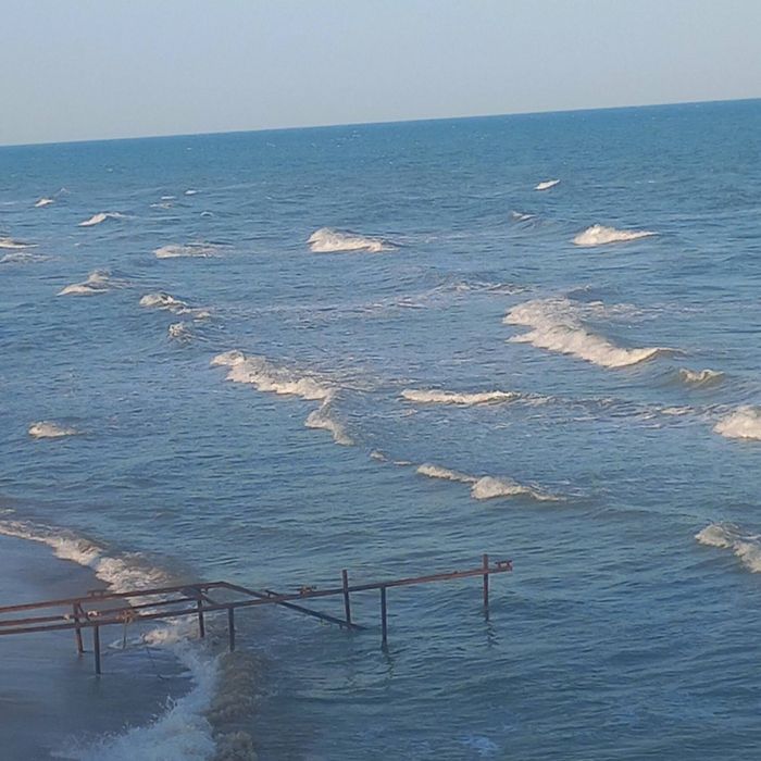 Продам дом-дачу на берегу моря