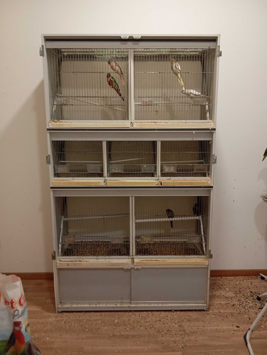 Bateria para passaros