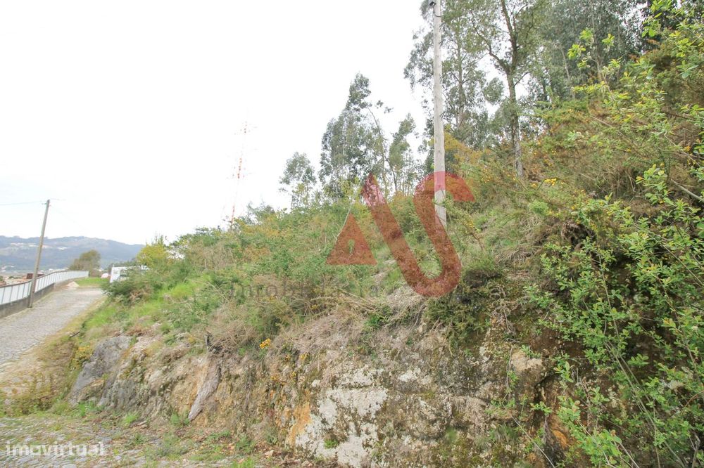 Terreno florestal com 46.000 m2 em Santa Eulália, Vizela