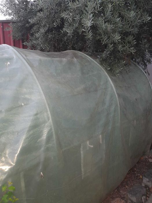 Estufa para horta ou jardim 3,00x2,00x2,00
