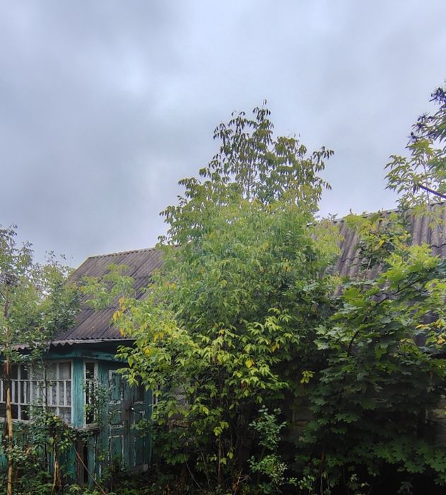 Продаж в с. Гуменники (15 км.від м. Коростишів) будинку та ділянки 25 сот.