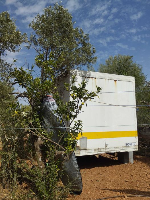 Contentor para escritório ou habitação