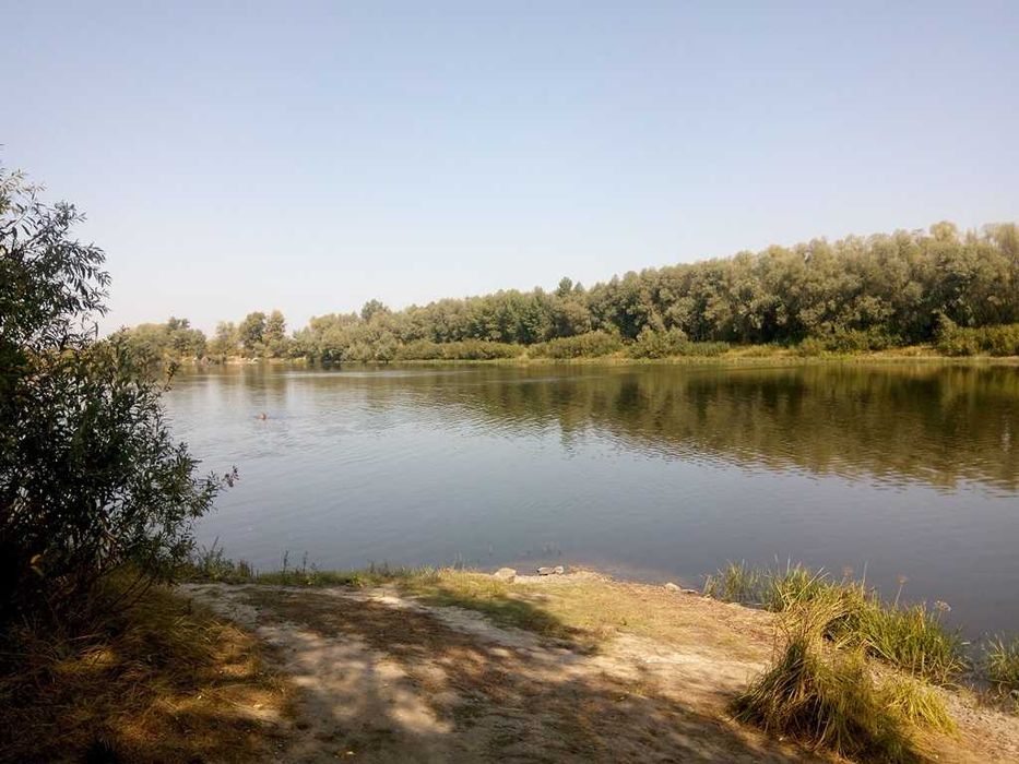 Ділянка 48сот. або частинами(24+24)крайня від Десни с.Пуховка ст.Вега