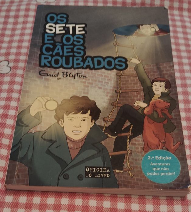 Livro Juvenil Coleção Os Sete Enidy Blyton Usado