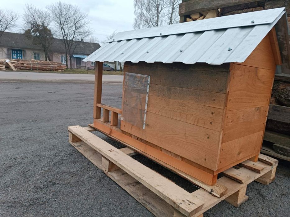 Собача бада нова дуб