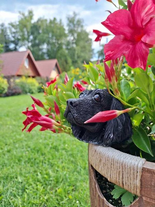 JESIEŃ Świeca Cocker Spaniel 515g, duży, sojowy, dekoracyjny, handmade