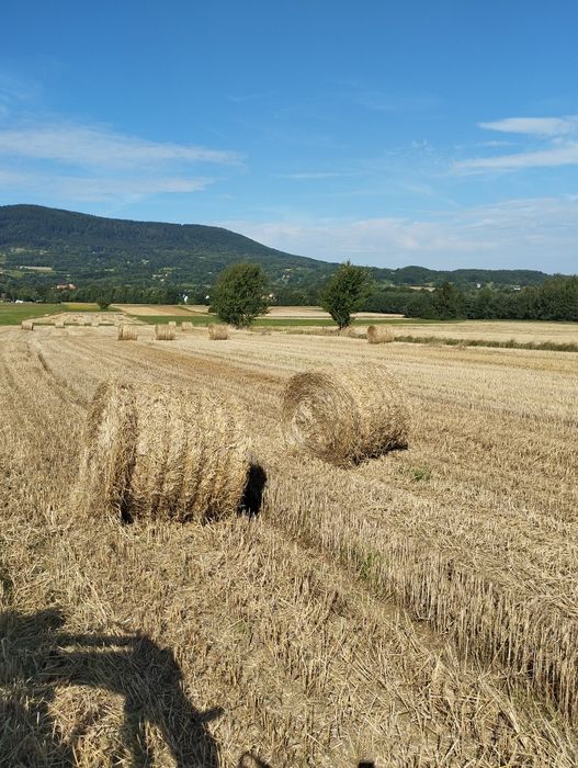 Sprzedam bale ze słomy