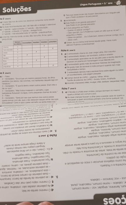 Material didático 1.° Ciclo fichas e soluções