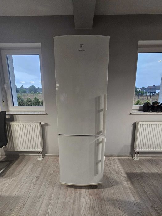 Lodówka Electrolux EN3600AOW 245L 175cm