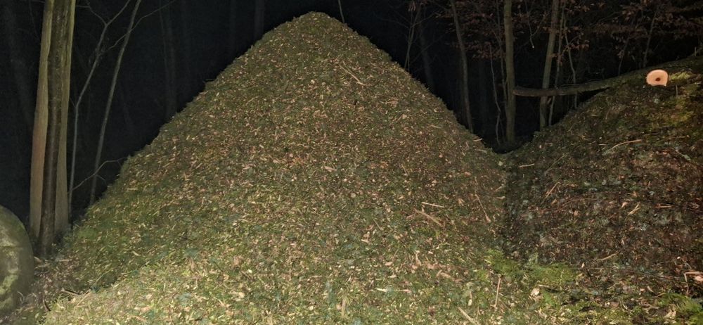 Zrębka z gałęzi iglastych, liściastych, pod borówki, kompost, torf