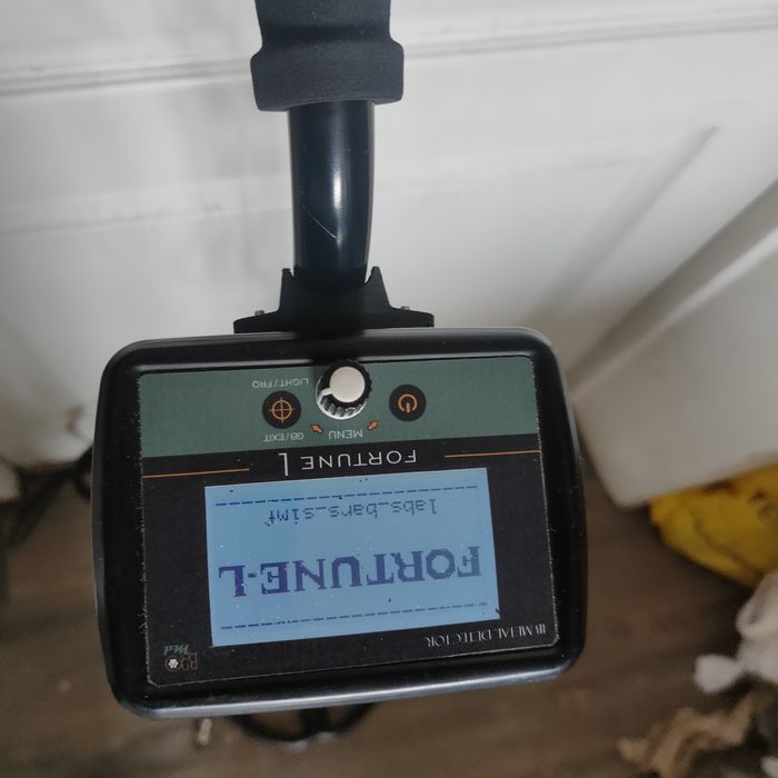 Металошукач Фортуна L