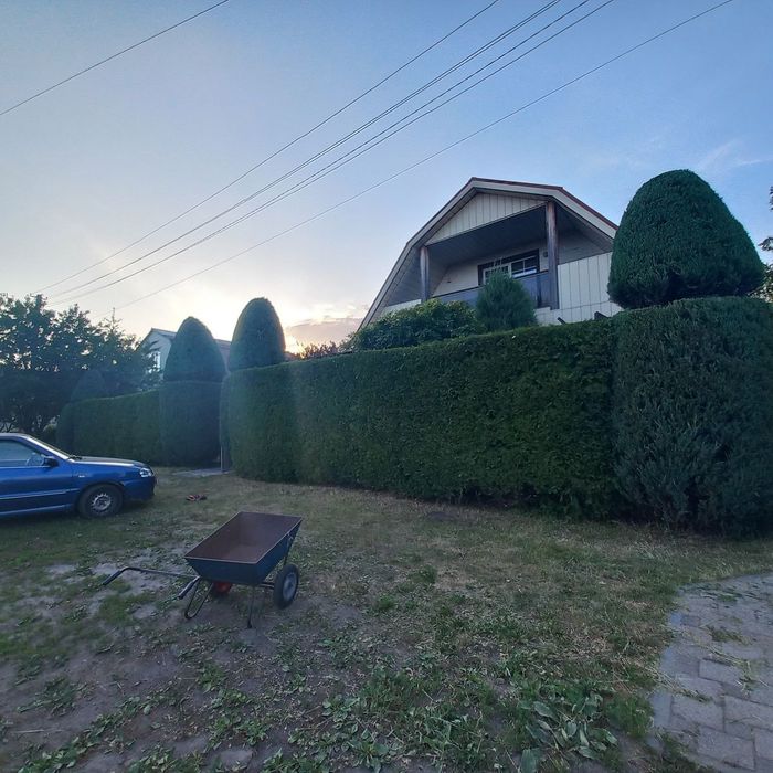 Догляд за садом. Послуги професійного садівника. Ландшафтні роботи