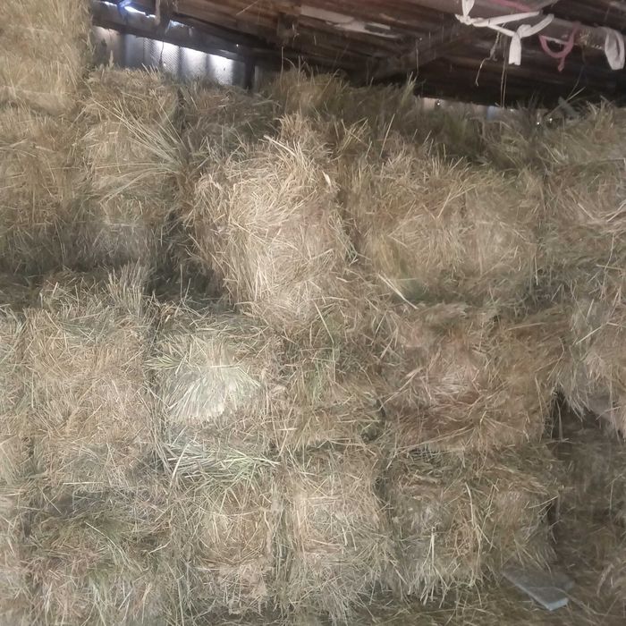 Сено луговое в тюках