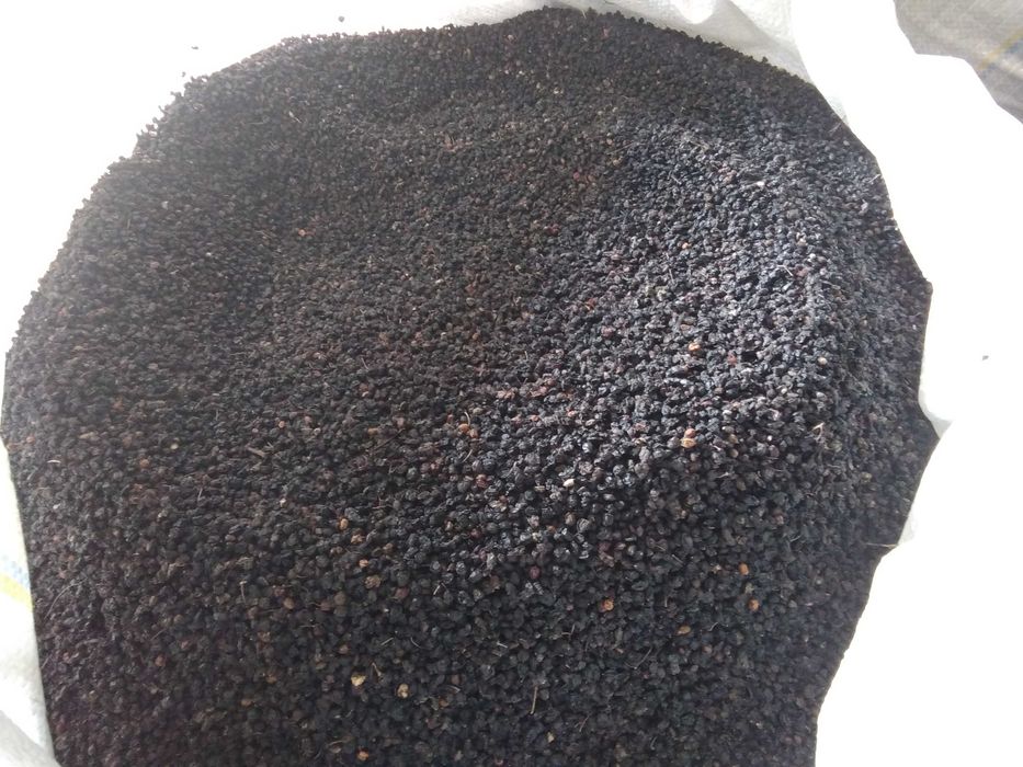 Бузина сушена (ягода)