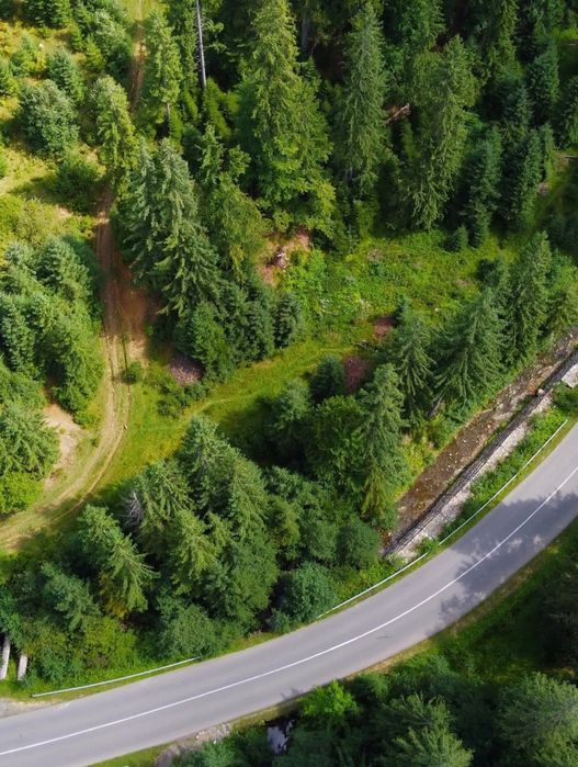 Ділянка в Карпатах біля річки ( Кривопільський перевал )