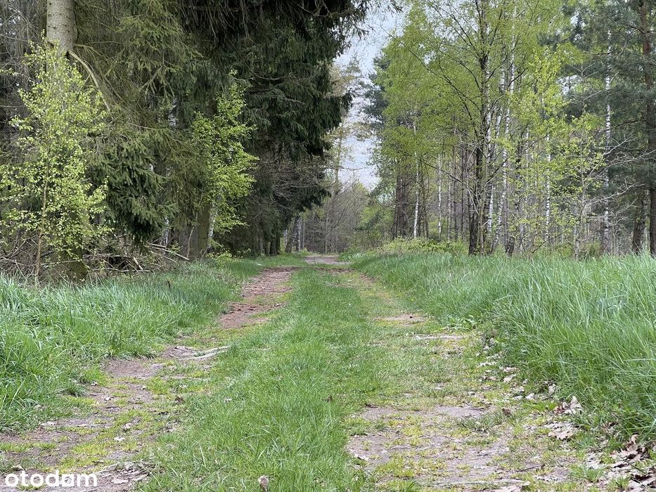 Sprzedam