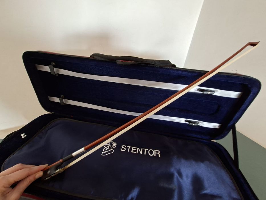 Viola D'Arco Stentor