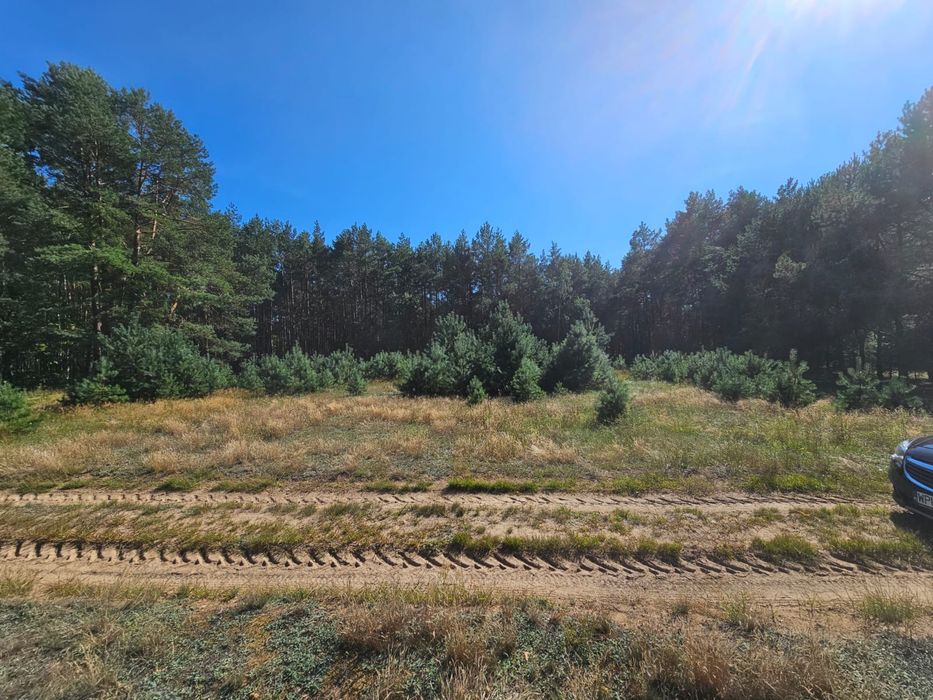 Dzialka rolna w oklicy lasu i rzeki Narew